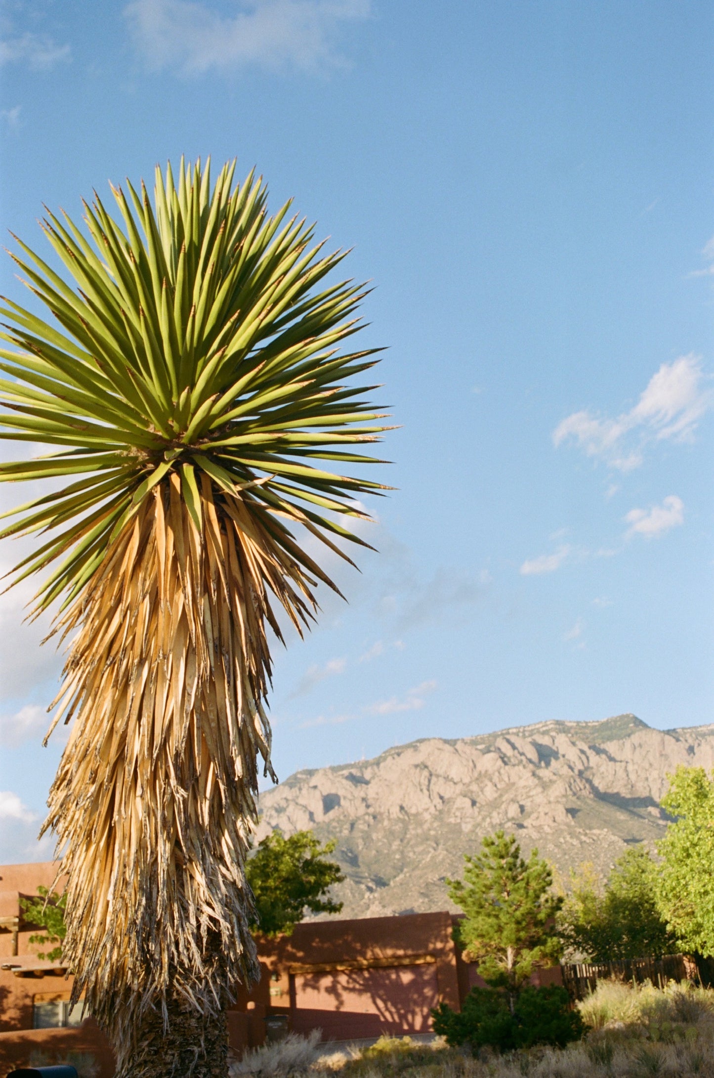 Sandia Mountains, New Mexico