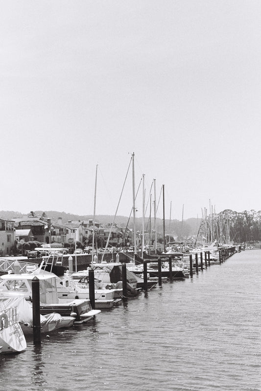 San Fransisco Marina